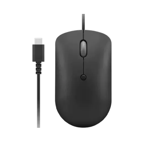 Mouse/ Lenovo 400 USB-C Wired Compact Mouse