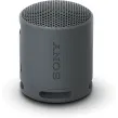 Wireless Speaker/ Sony/ Sony SRS-XB100 Portable Speaker Black (SRS-XB100/BCE)